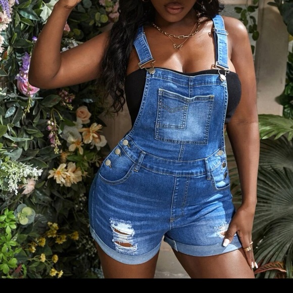 SHEIN Denim Ripped Overalls (14) - Picture 3 of 5